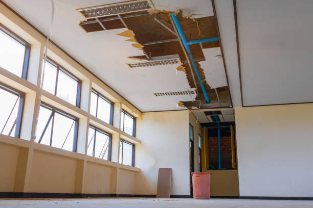 Best Water damage restoration company  in Marbury, AL