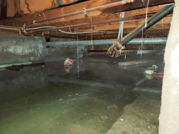 Best Flood damage cleanup  in Marbury, AL