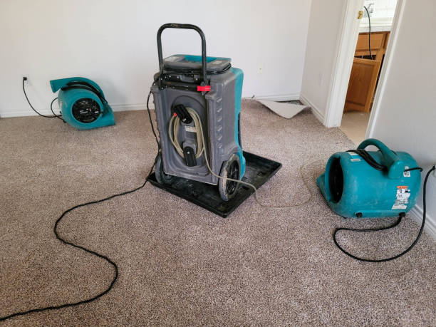 Best Mold removal after water damage  in Marbury, AL