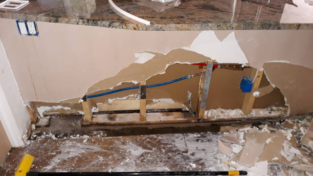 Best Sewage cleanup and water damage restoration  in Marbury, AL