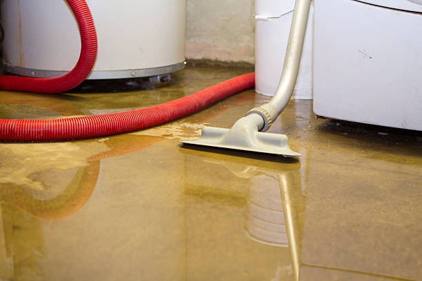 Best Flood restoration services  in Marbury, AL