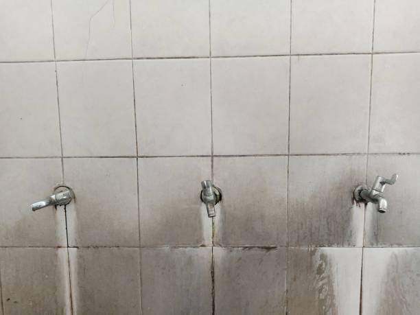 Best Mold removal after water damage  in Marbury, AL