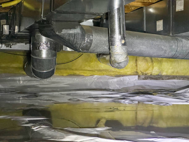 Best Basement water damage restoration  in Marbury, AL