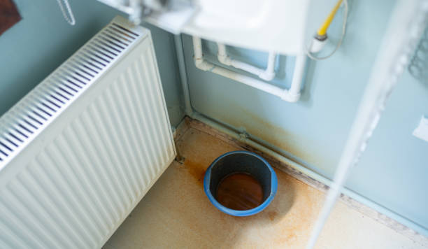 Best Local water damage restoration  in Marbury, AL