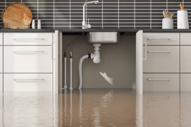 Best Flood damage cleanup  in Marbury, AL